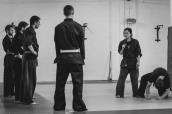 Kunoichi Shinobi Dojo, 2017
